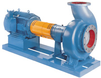 Goulds 3185 Heavy-duty Process Pumps